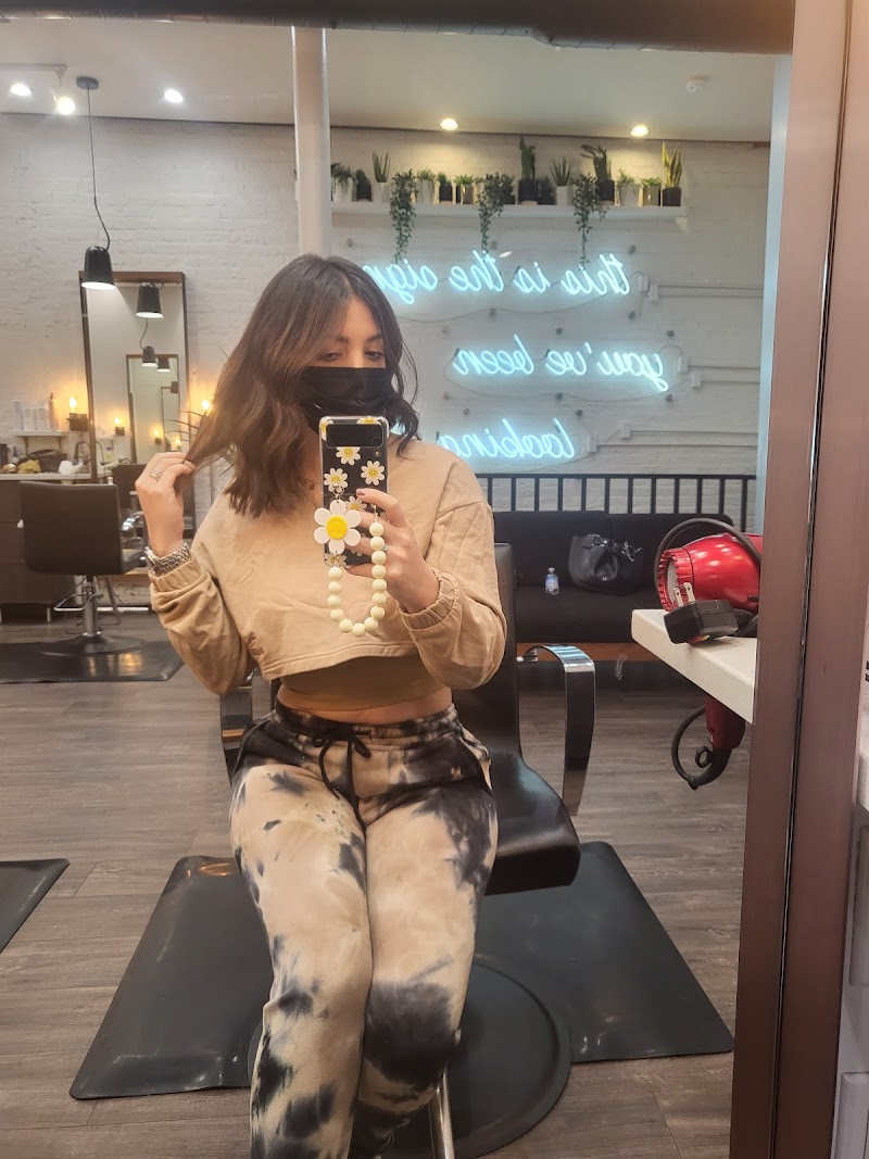 Fox and Jane Salon