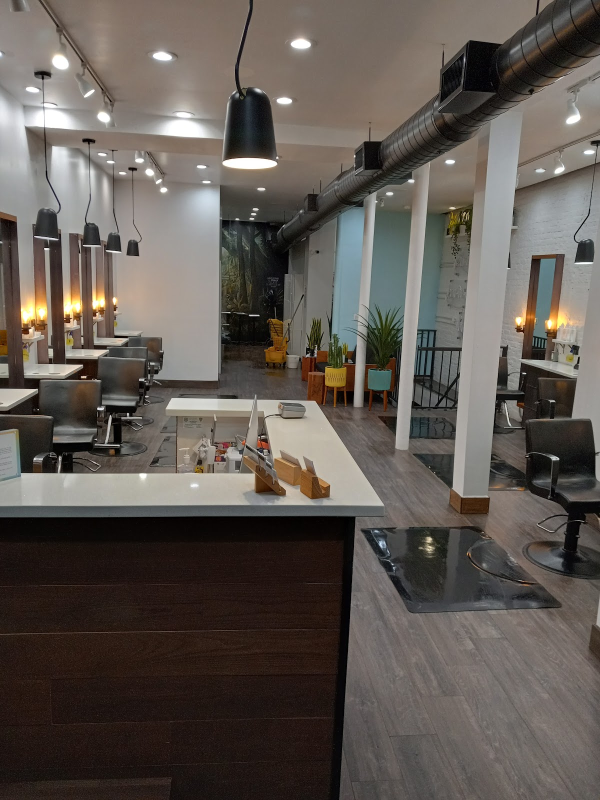 Fox and Jane Salon — Beauty