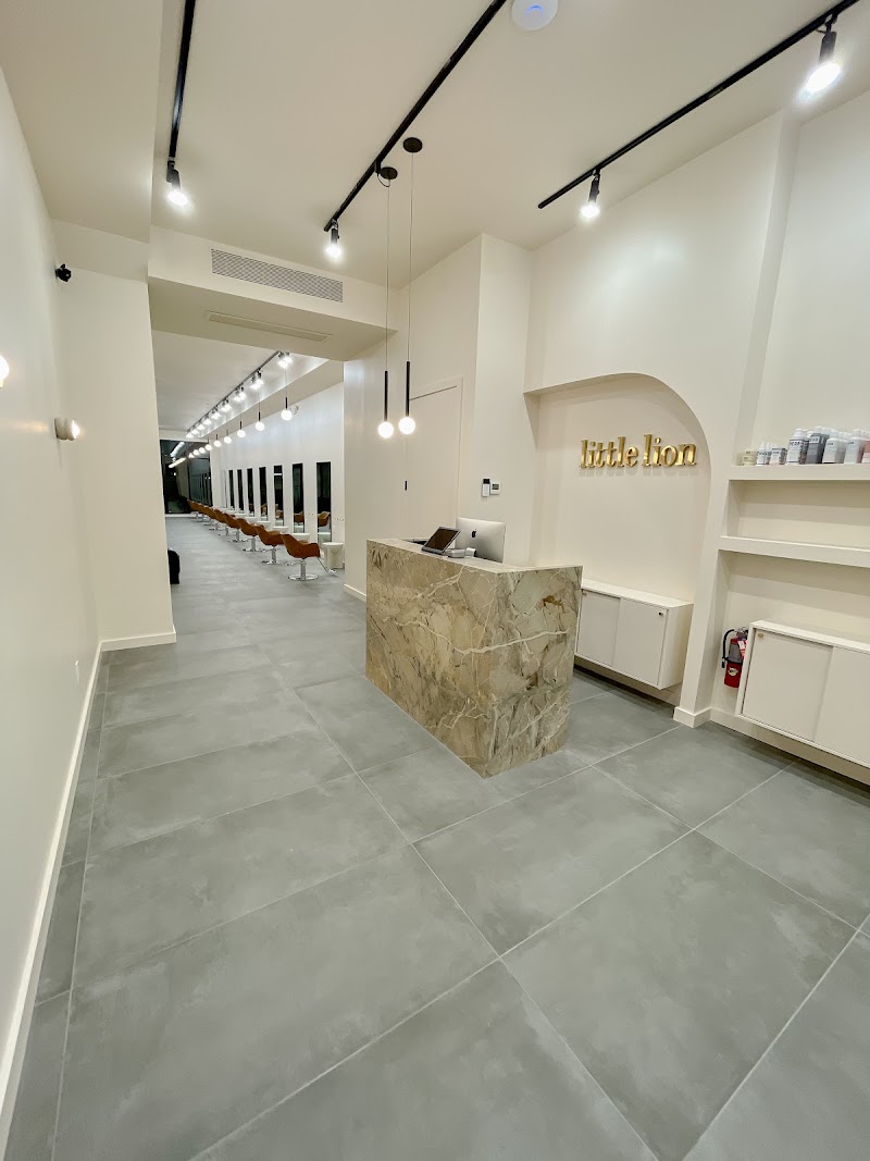 Little Lion Salon