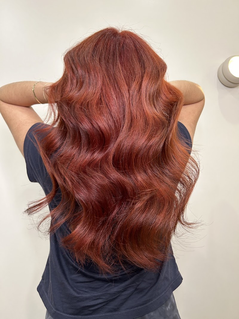 Little Lion Salon
