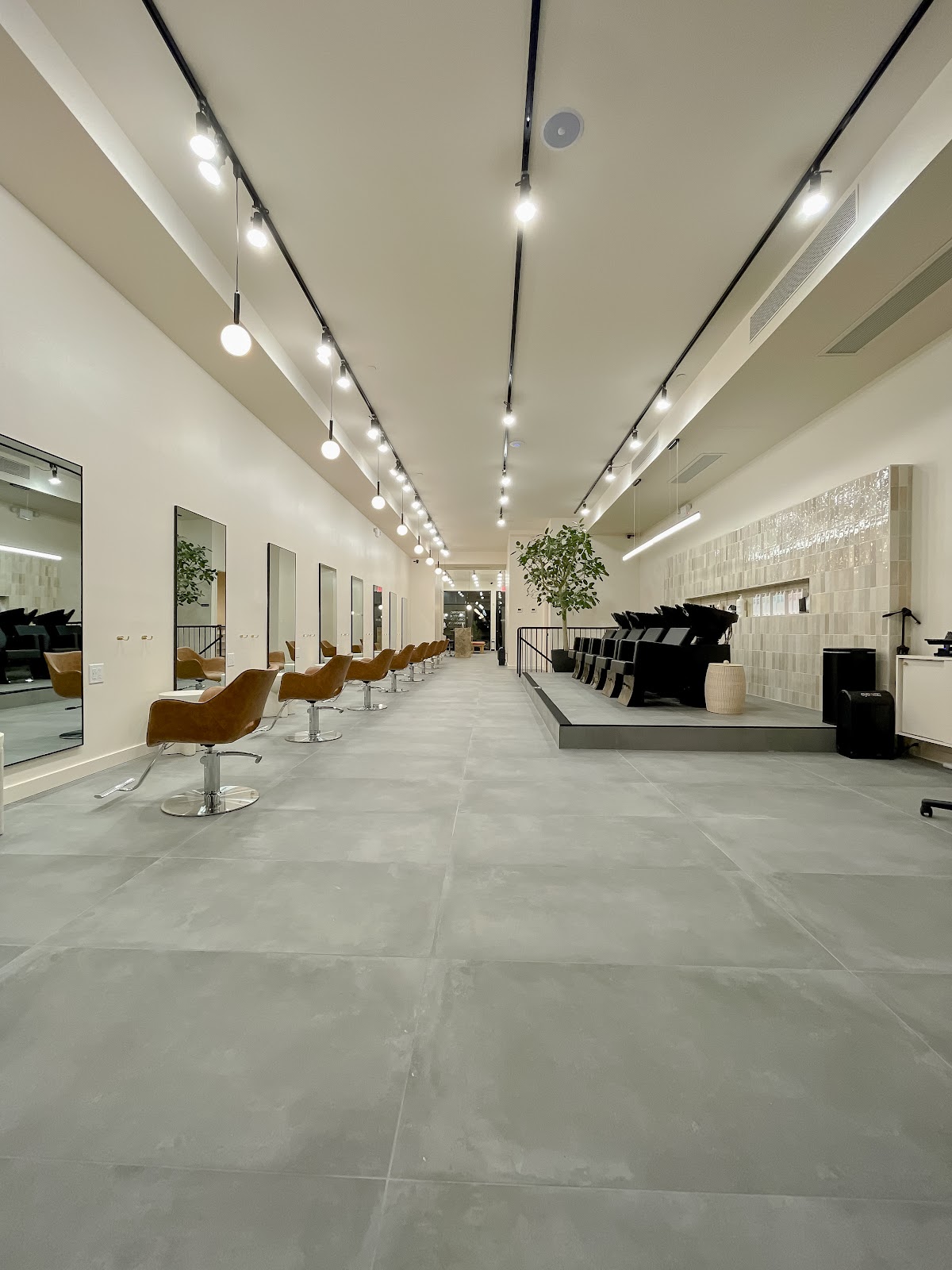 Little Lion Salon — Beauty